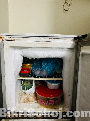 fridge singer